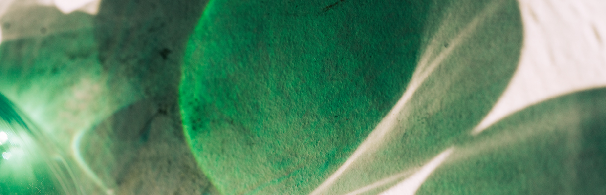 Reflexion auf dem Blatt